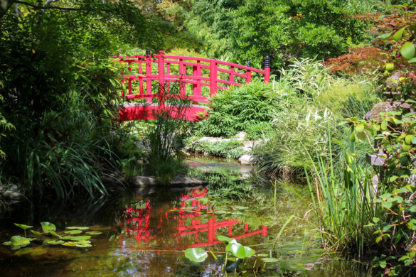Le Parc de l'Amitié visiter le parc japonais de Rueil-Malmaison