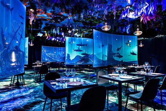 Ephemera Restaurant — Under the sea